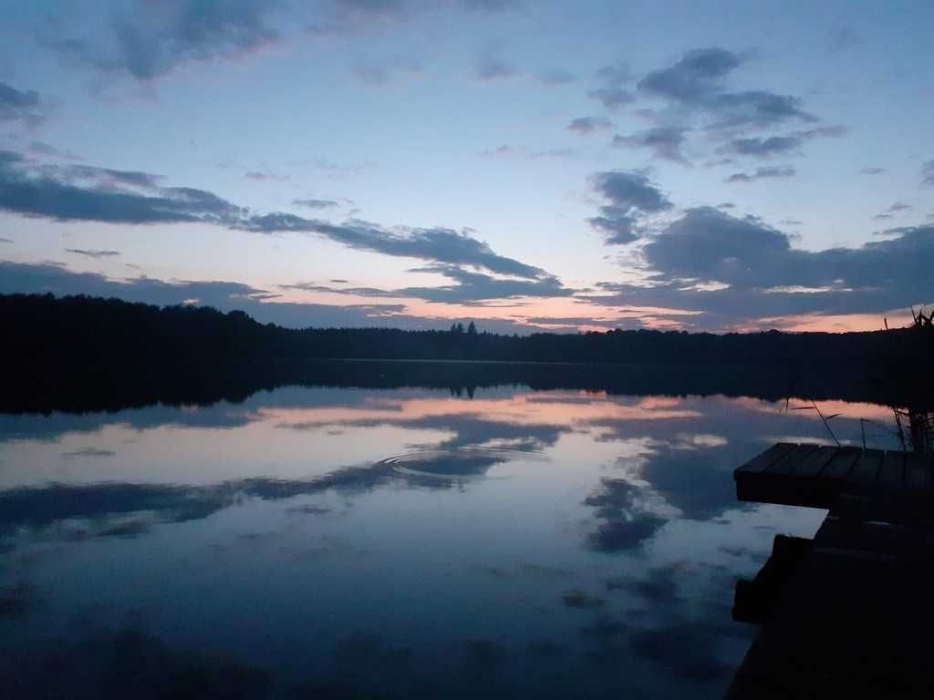 Działka inwestycyjna Sielsko. Zdjęcie 2