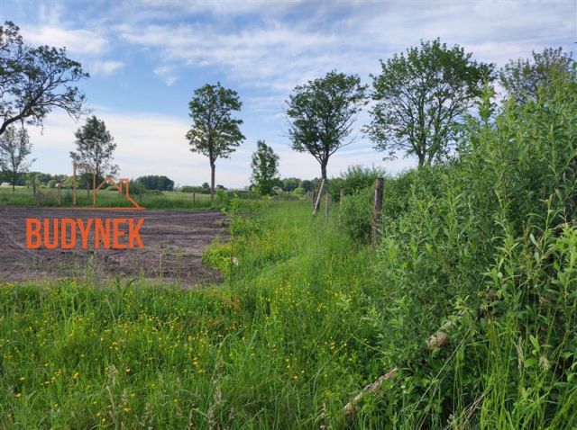 Działka budowlana Darłowo, ul. Klonowa. Zdjęcie 6