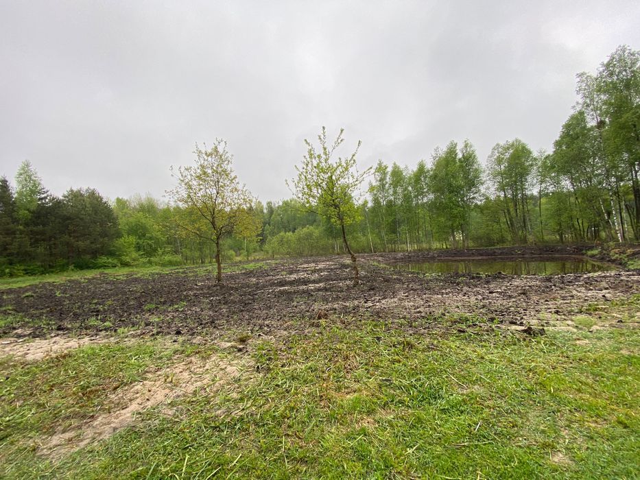 Działka budowlana Płaska. Zdjęcie 2