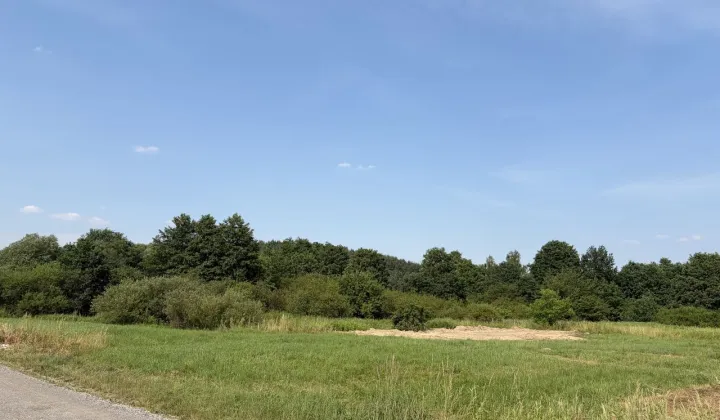 Działka siedliskowa Dąbrowa Szlachecka, ul. Żwirowa