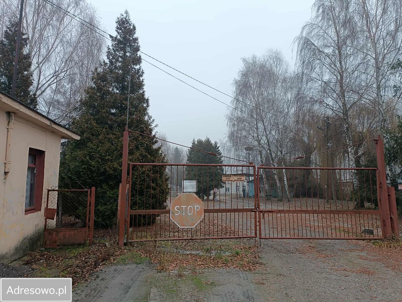 Działka inwestycyjna Stodoły-Kolonie. Zdjęcie 4