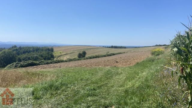 Działka siedliskowa Rybna. Zdjęcie 5