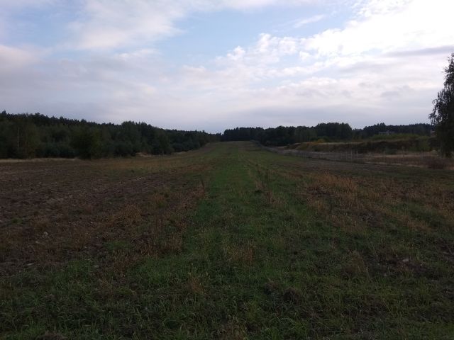 Działka rolna Wyśmierzyce. Zdjęcie 1