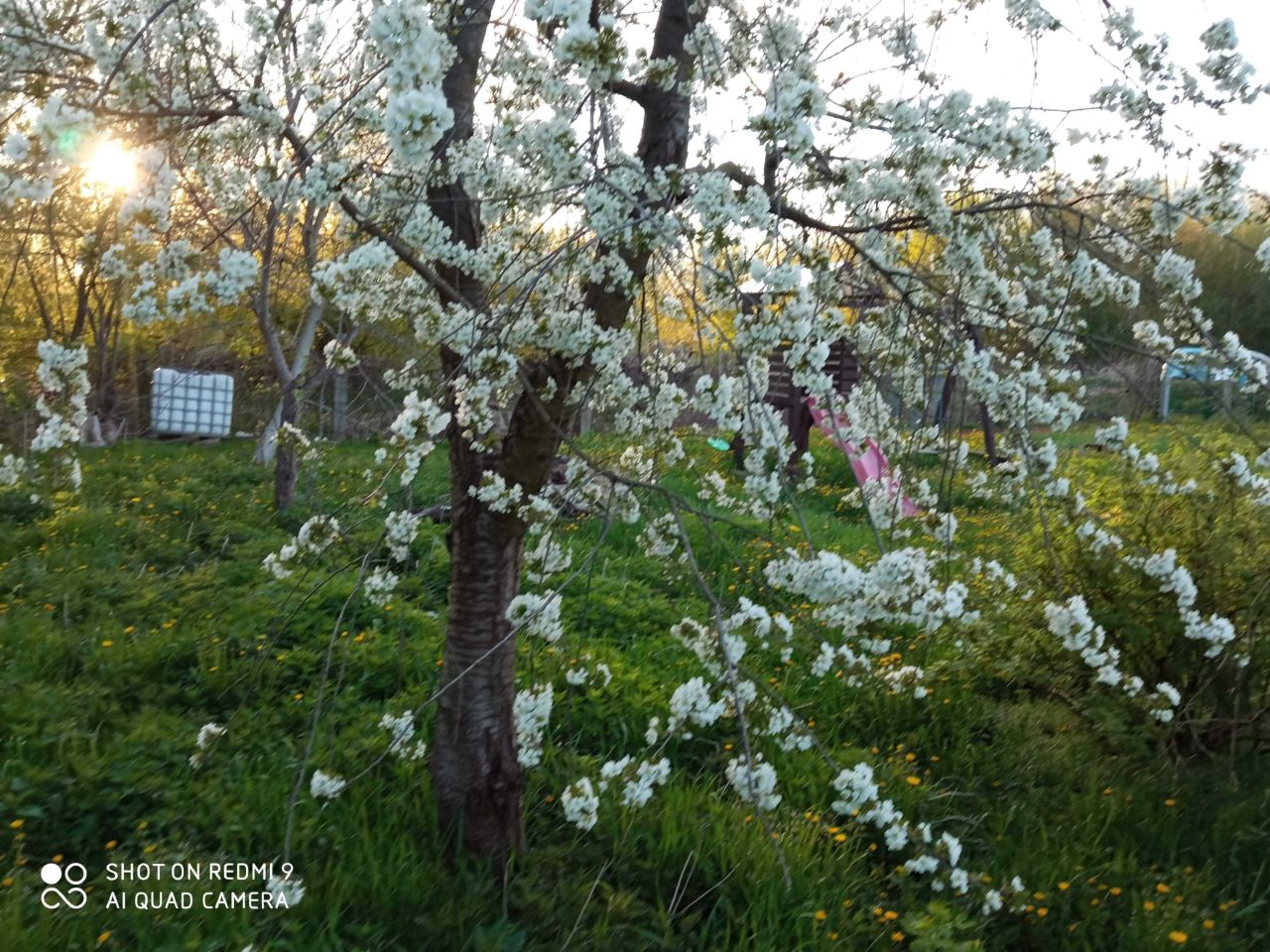 Działka rod Radom. Zdjęcie 6