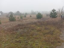 Działka inwestycyjna Słubice, os. Zielone Wzgórza. Zdjęcie 2