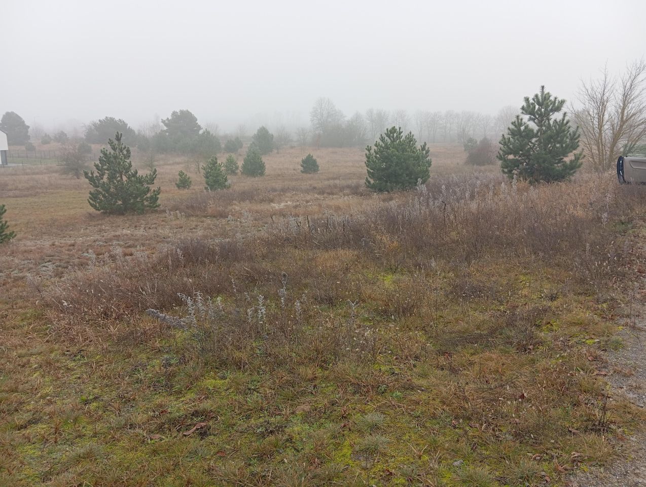 Działka inwestycyjna Słubice, os. Zielone Wzgórza. Zdjęcie 3