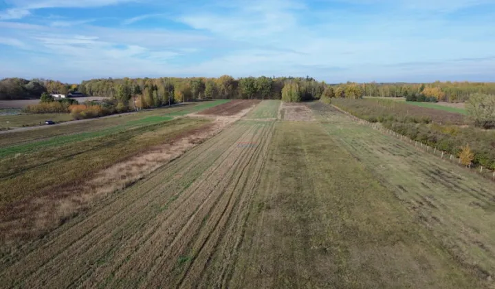 Działka rolna Wola Prażmowska