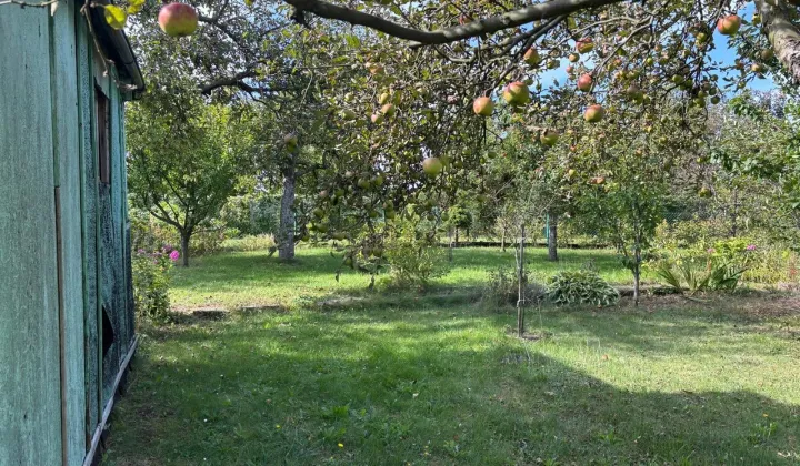 Działka rekreacyjna Sosnowiec Pogoń