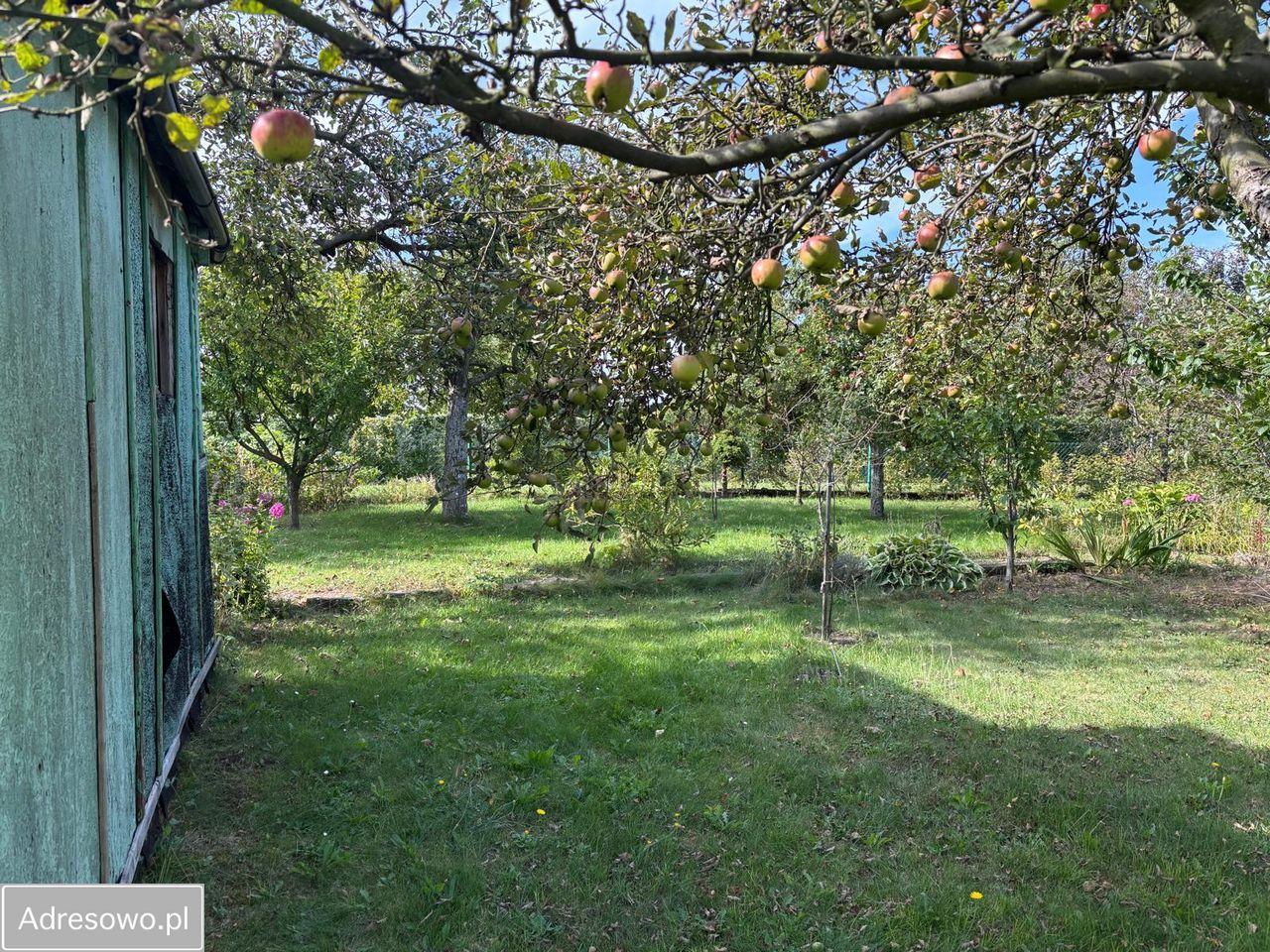 Działka rekreacyjna Sosnowiec Pogoń. Zdjęcie 1