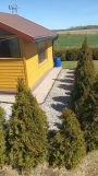 Działka rolno-budowlana Kożuchy Wielkie. Zdjęcie 4