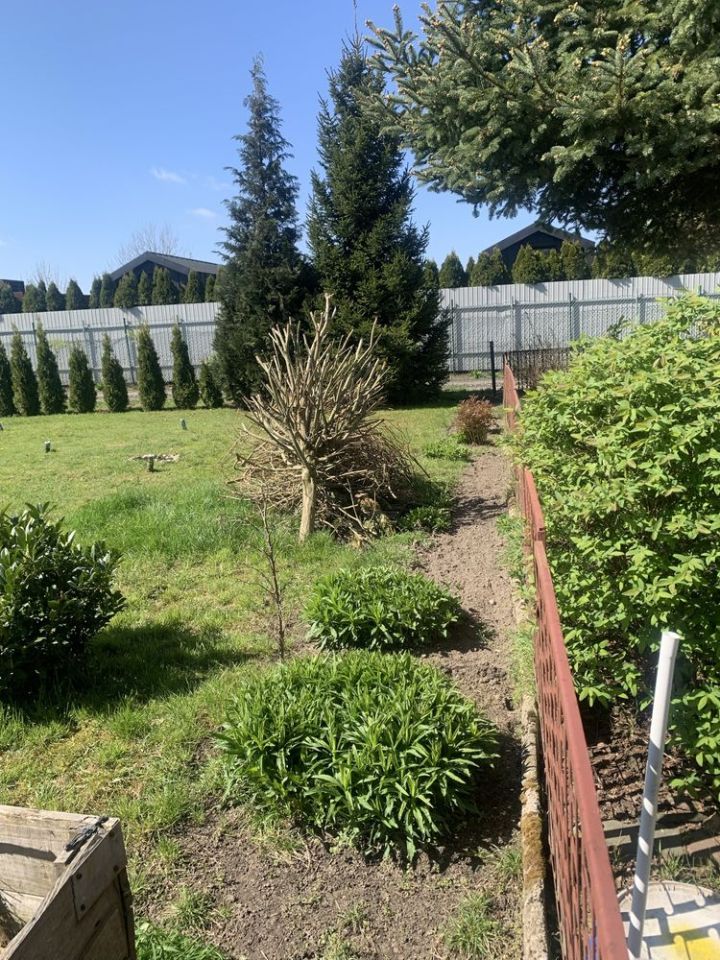 Działka rod Opalenica. Zdjęcie 5