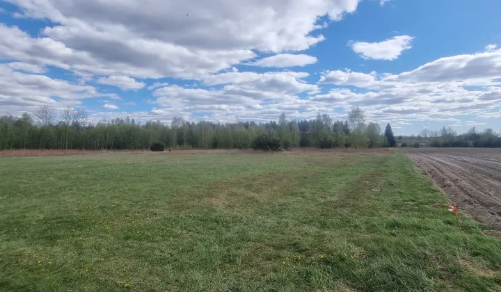 Działka budowlana Wólka Czarnińska
