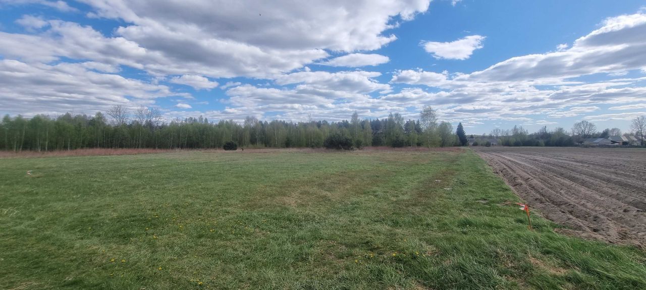 Działka budowlana Wólka Czarnińska. Zdjęcie 1