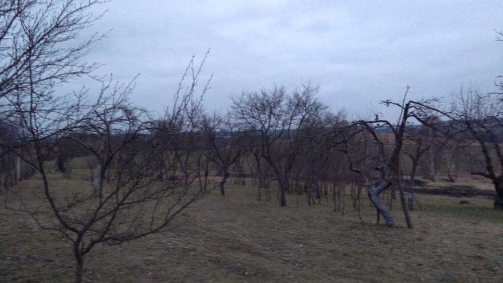 Działka budowlana Międzychód, ul. Dębowa. Zdjęcie 4