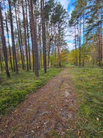 Działka leśna Suków Podmarzysz, Morska. Zdjęcie 1