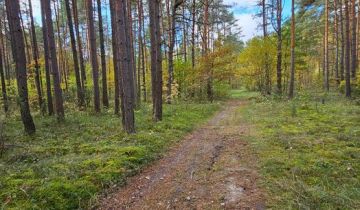 Działka leśna Suków Podmarzysz, Morska