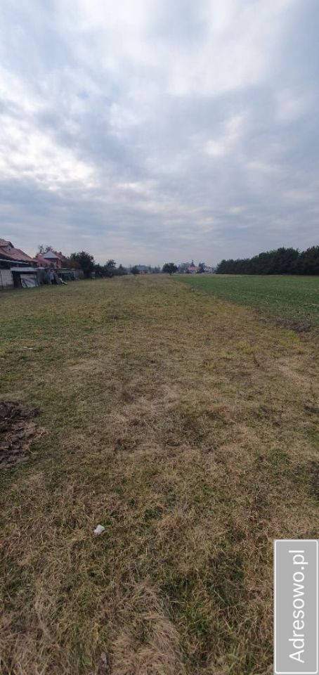 Działka budowlana Czeszewo. Zdjęcie 12