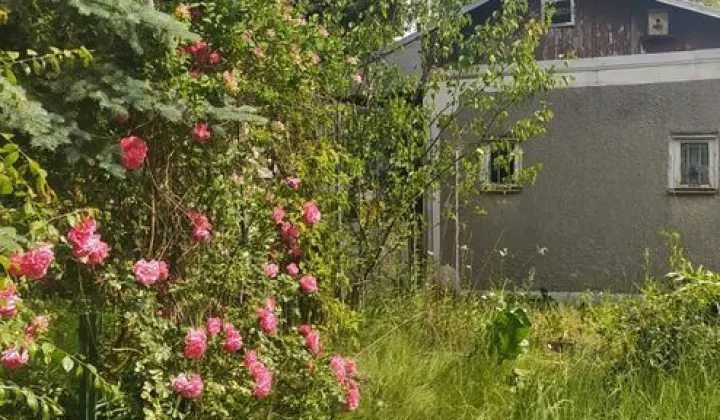 Działka rod Puławy