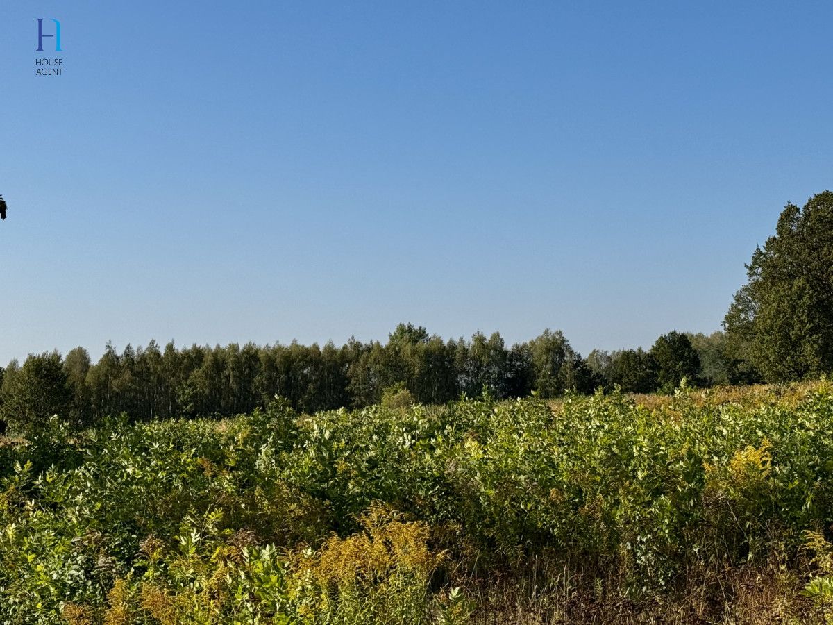 Działka inwestycyjna Stary Imielnik. Zdjęcie 12