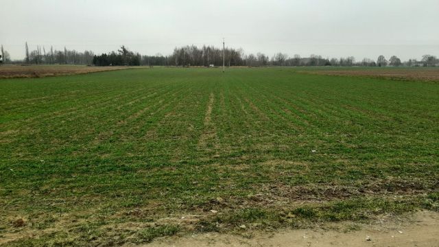 Działka budowlana Podkampinos. Zdjęcie 1