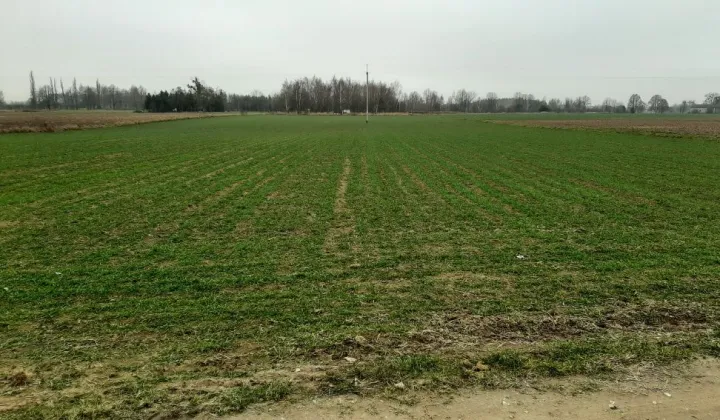 Działka budowlana Podkampinos