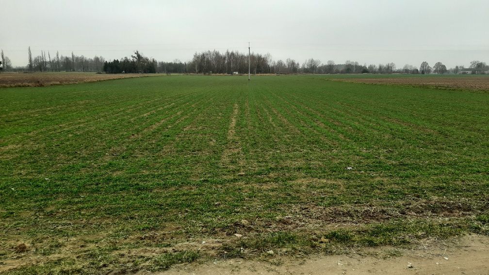 Działka budowlana Podkampinos