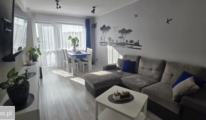 Mieszkanie 2-pokojowe Miastko, ul. gen. Wybickiego