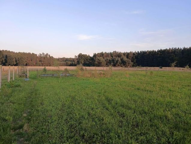 Działka rolno-budowlana Upadły. Zdjęcie 1
