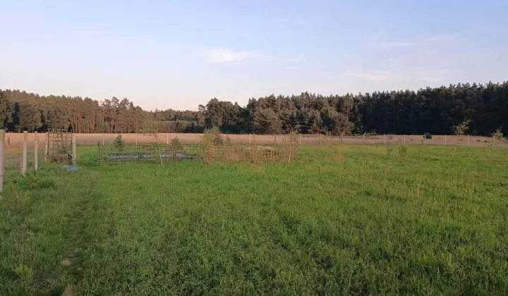 Działka rolno-budowlana Upadły
