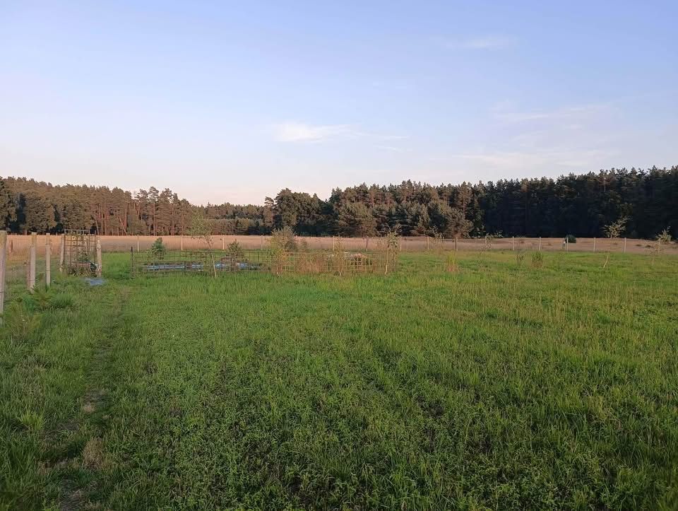Działka rolno-budowlana Upadły. Zdjęcie 1