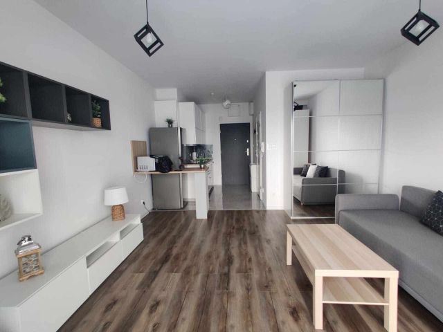 Mieszkanie 1-pokojowe Łódź Śródmieście. Zdjęcie 1