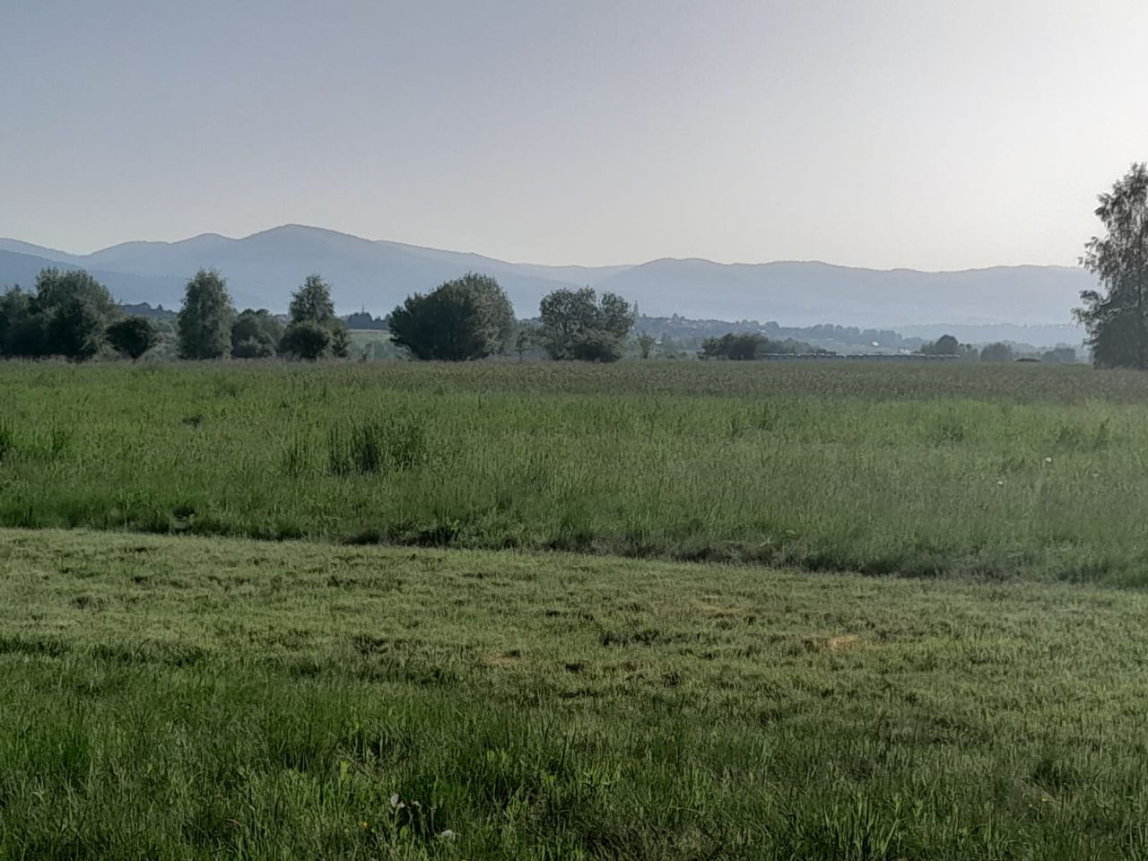 Działka budowlana Lipowa, ul. Promienna. Zdjęcie 17