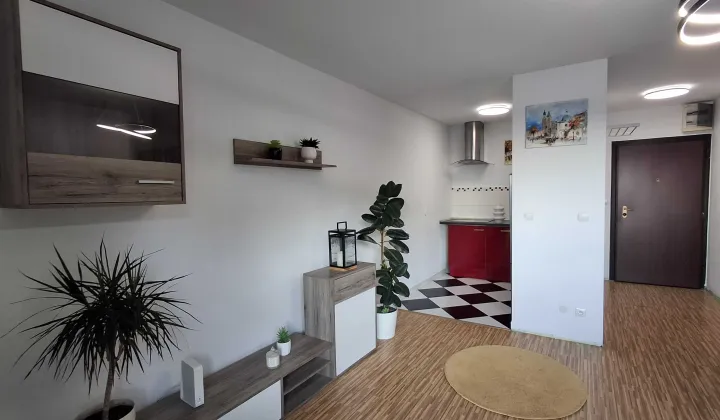 Mieszkanie 1-pokojowe Kraków Dębniki, ul. Lubostroń