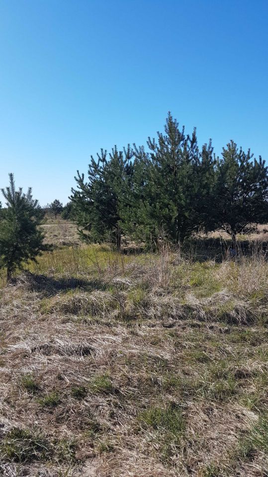 Działka budowlana Kobylanka. Zdjęcie 3