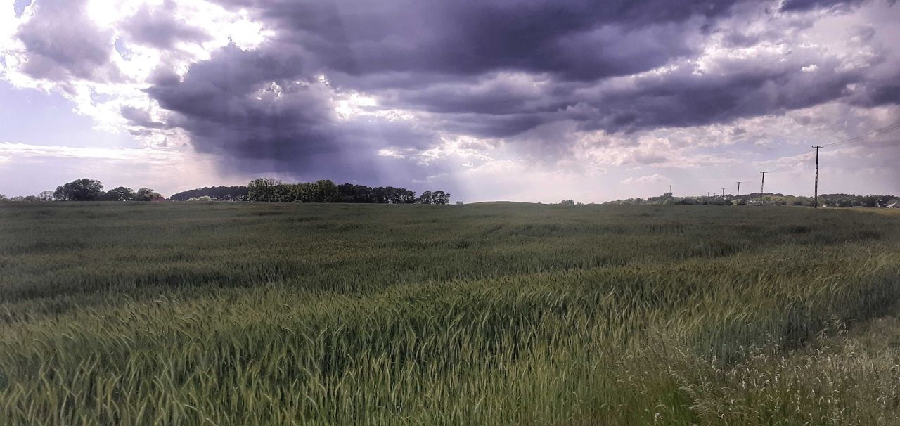 Działka budowlana Grzebienisko. Zdjęcie 3