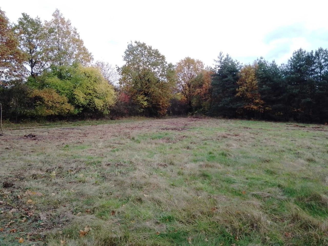 Działka budowlana Świdnica. Zdjęcie 8