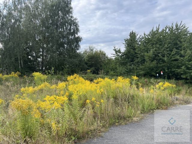 Działka budowlana Szczecin Bukowo. Zdjęcie 2