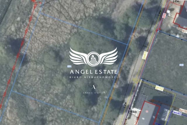 Działka inwestycyjna Dołuje. Zdjęcie 2