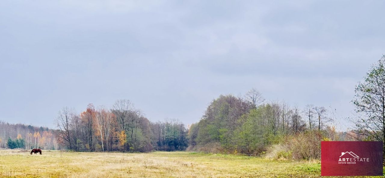Działka rekreacyjna Nowy Adamów. Zdjęcie 9
