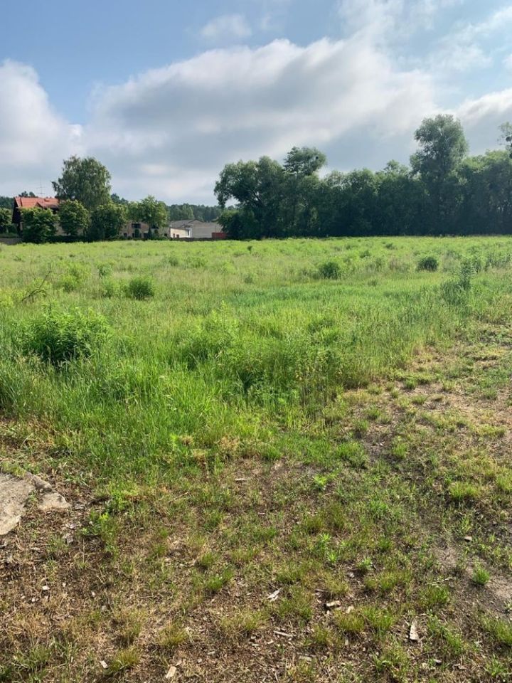 Działka inwestycyjna Brodnica Centrum. Zdjęcie 4