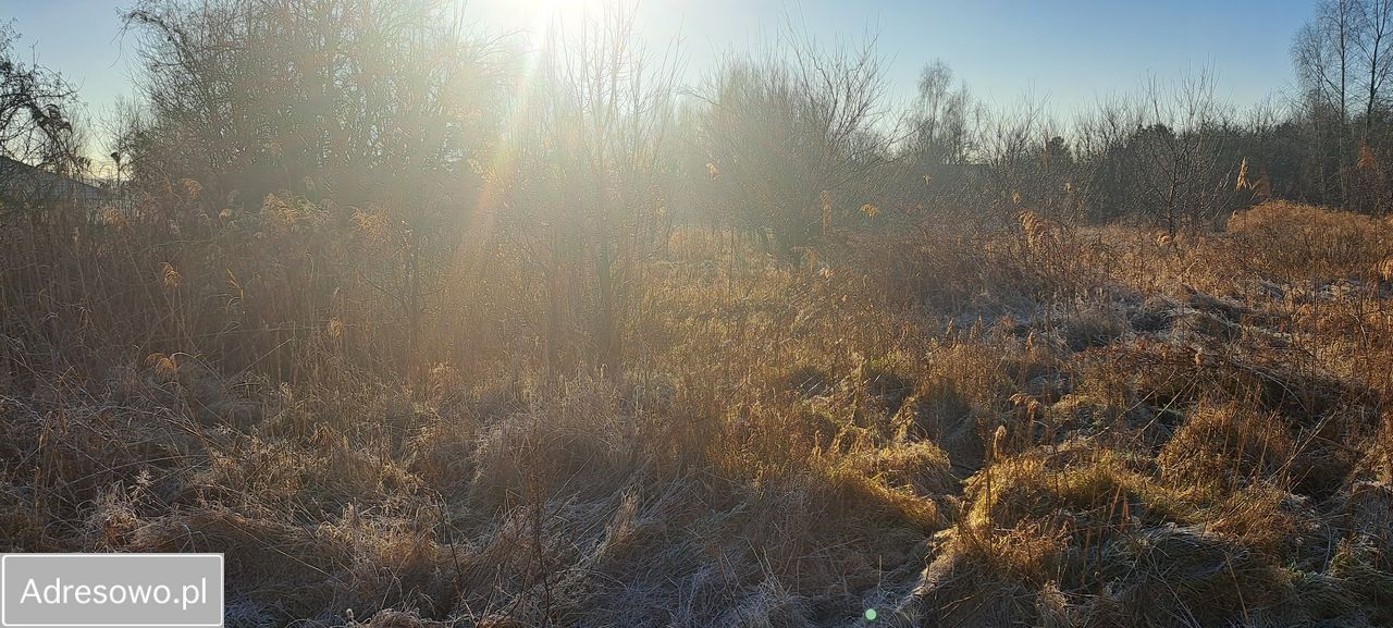 Działka budowlana Zielona Góra Nowy Kisielin, ul. Nowy Kisielin-Kasztanowa. Zdjęcie 3