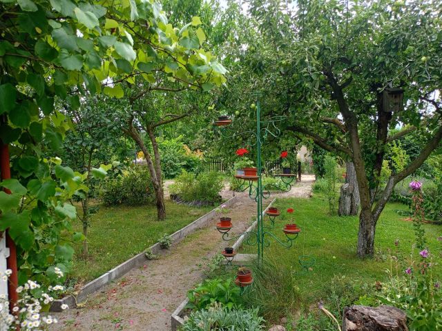 Działka rod Książ Wielkopolski. Zdjęcie 1