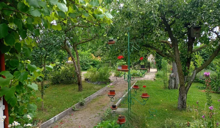 Działka rod Książ Wielkopolski