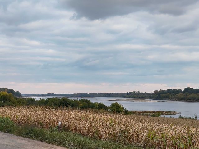 Działka budowlana Wyszogród, ul. Czerwińska. Zdjęcie 1