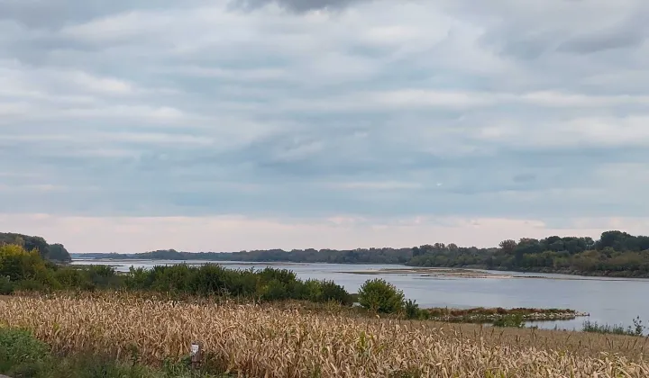 Działka budowlana Wyszogród, ul. Czerwińska