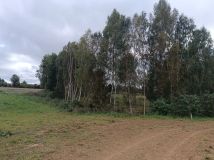 Działka rolno-budowlana Gradki. Zdjęcie 2