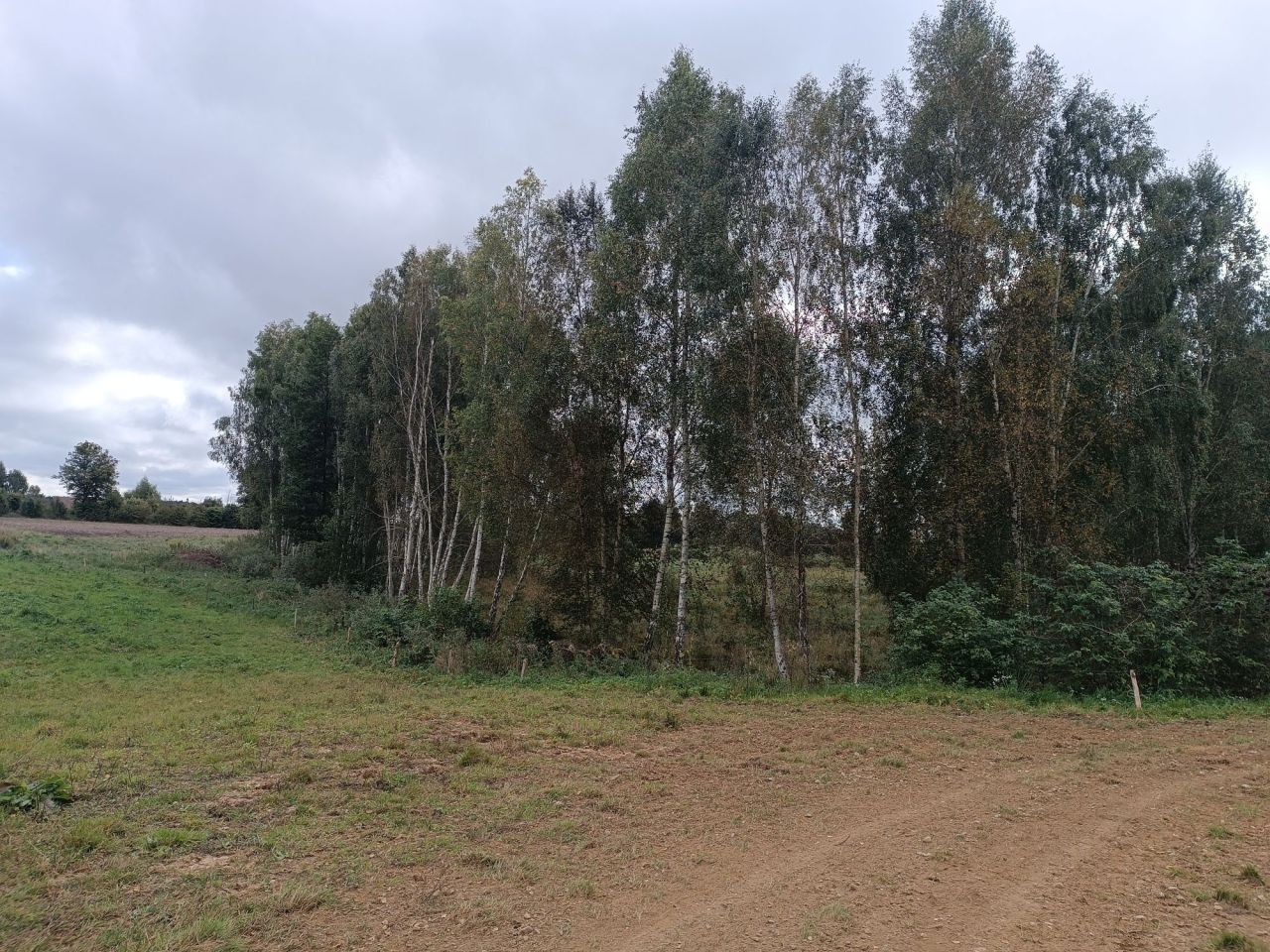 Działka rolno-budowlana Gradki. Zdjęcie 3