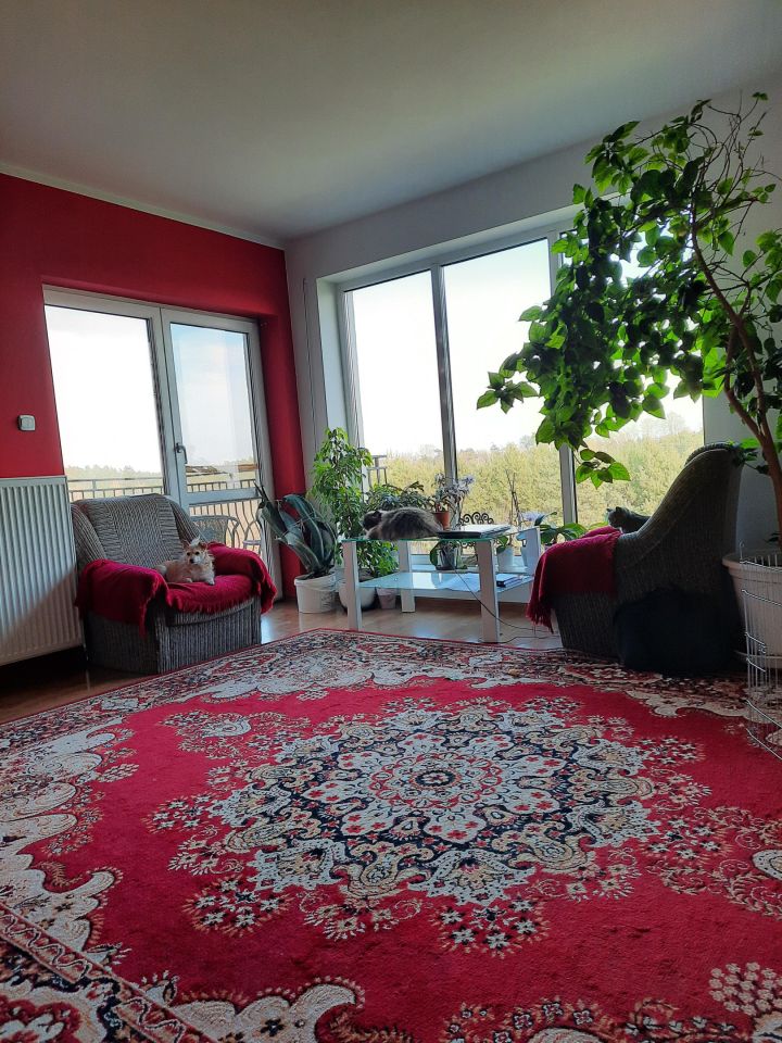 dom wolnostojący, 5 pokoi Kamienny Smug. Zdjęcie 8