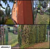 Mieszkanie 2-pokojowe Jelenia Góra Centrum, ul. Tkacka. Zdjęcie 1