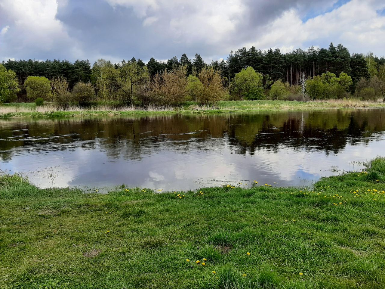Działka rolna Popielżyn-Zawady. Zdjęcie 5